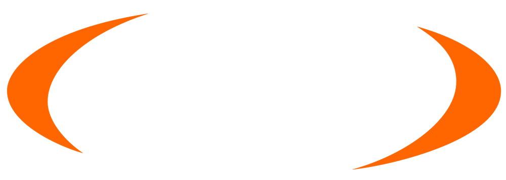 ROES Information Technology